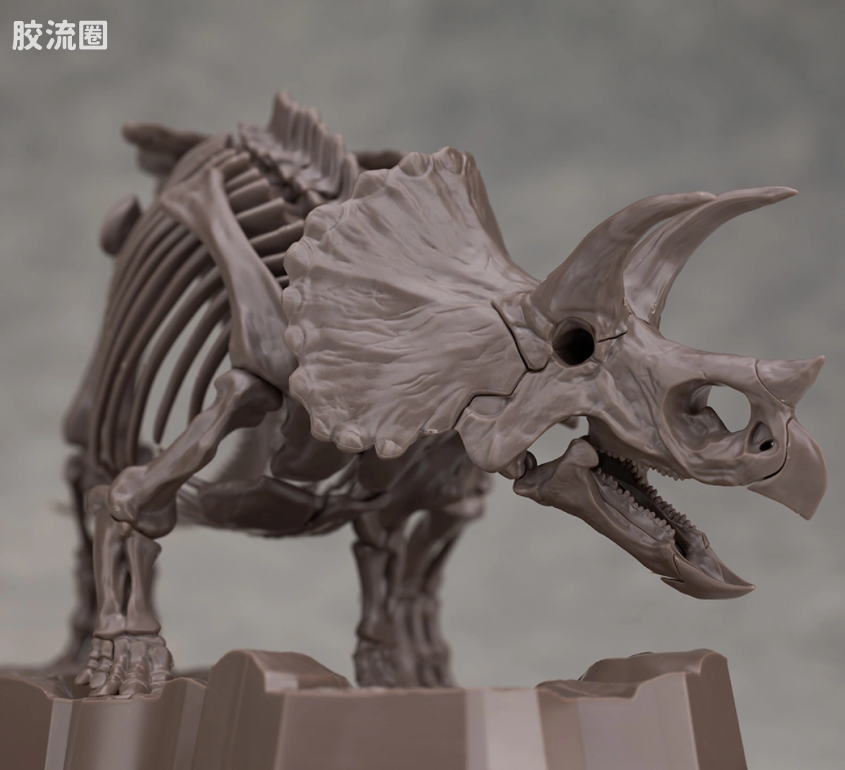 万代综合拼装模型系列 Imaginary Skeleton系列 三角龙 - 图片